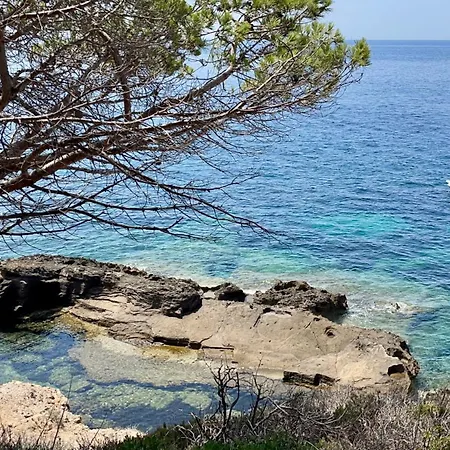 بيت للعطل Isola D'elba A 300m Dal Mare كابوليفيري